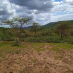Land in Salama Kenya for sale
